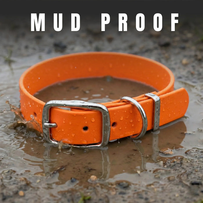 Neon Orange Waterproof Biothane Buckle Dog Collar