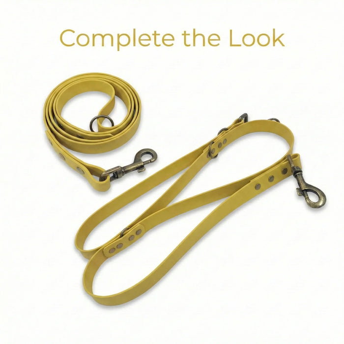 Mustard Waterproof Biothane Metal Clasp Dog Collar