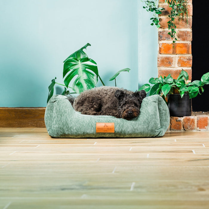 The Ultimate - Eco Friendly Orthopaedic Luxury Dog Bed, Sage Green