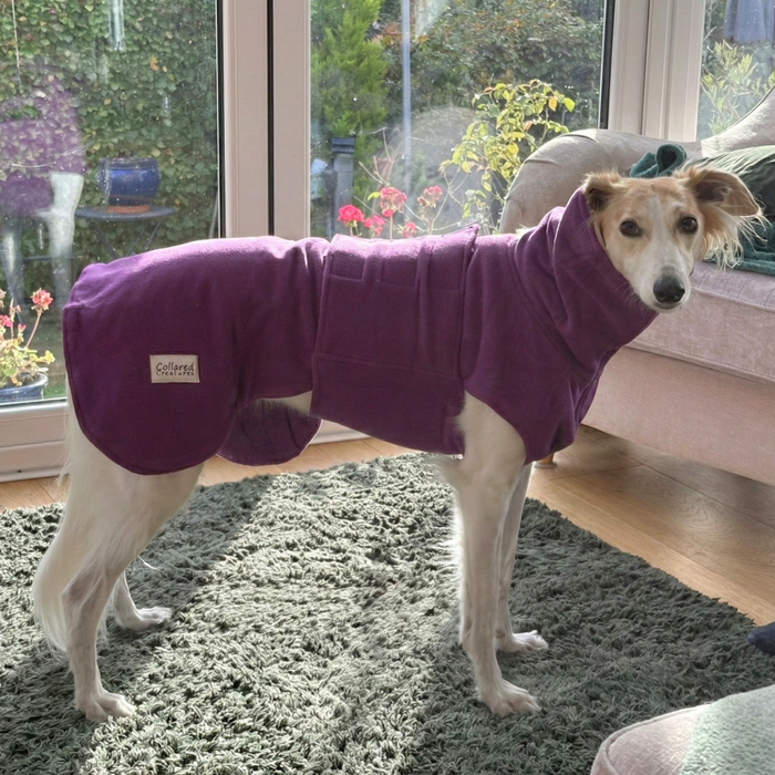 Collared Creatures - Perfectly Practical Dog Drying Coat - Available in 3 Colours