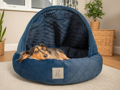 Collared Creatures Sapphire Blue Quilted Velour Deluxe Comfort Cocoon Dog Cave Bed