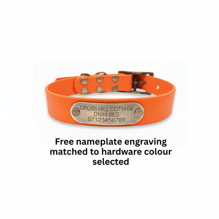 Neon Orange Waterproof Biothane Buckle Dog Collar