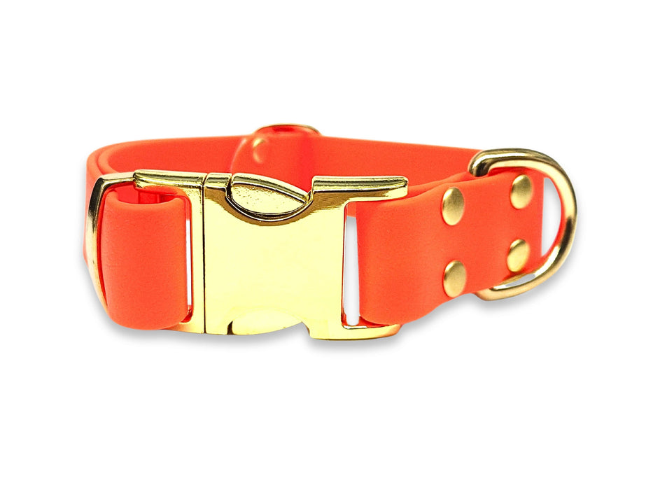 Neon Orange Waterproof Biothane Metal Clasp Dog Collar