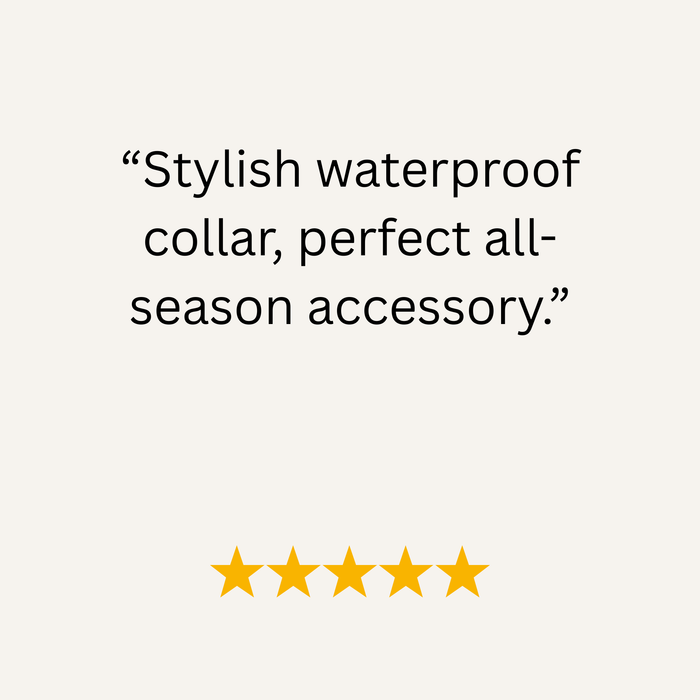 Wine Waterproof Biothane Buckle Dog Collar