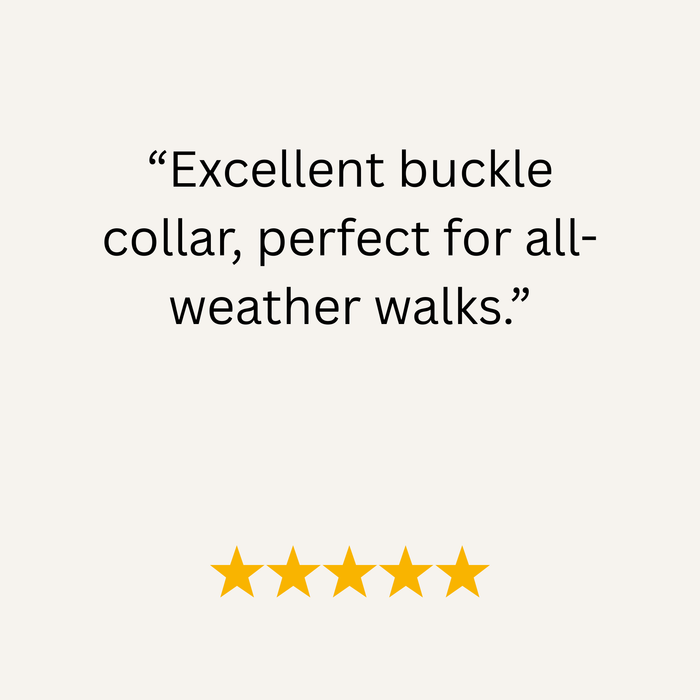 Navy Blue Waterproof Biothane Buckle Dog Collar