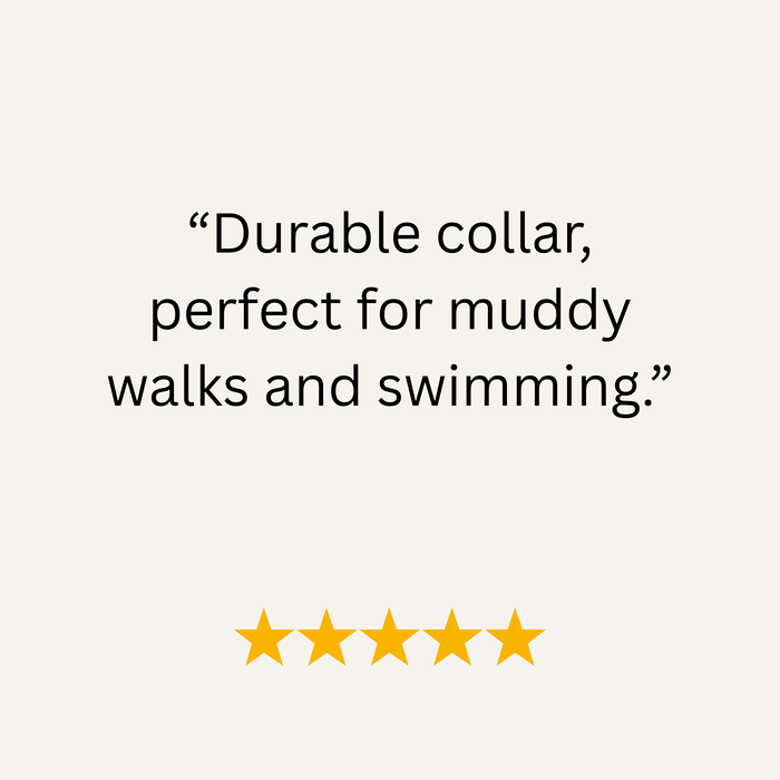 Baby Blue Waterproof Biothane Buckle Dog Collar