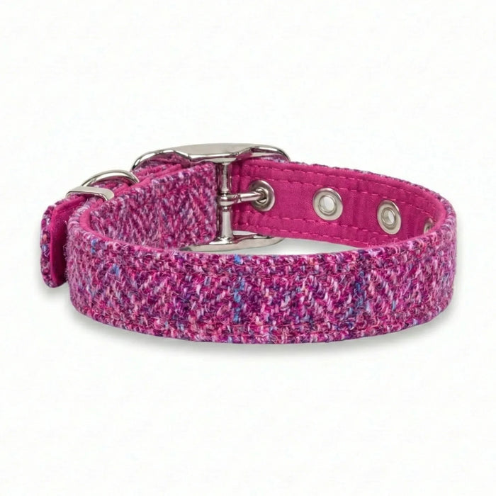 Pink Koana - Buckle Fastening Luxury Harris Tweed Dog Collar
