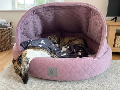 Collared Creatures Pink Quilted Velour Deluxe Comfort Cocoon Dog Cave Bed