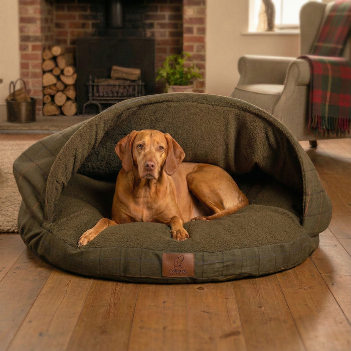 Green Tweed Luxury Dog Cave Bed with Removable Firm Hood