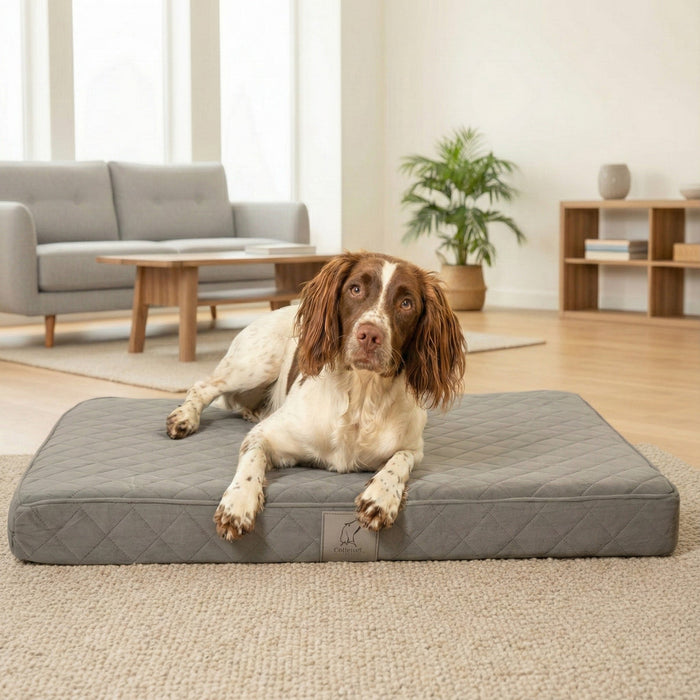Collared Creatures Grey Velour Luxury Mattress Dog Bed