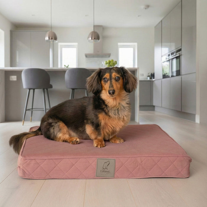 Collared Creatures Pink Velour Luxury Mattress Dog Bed