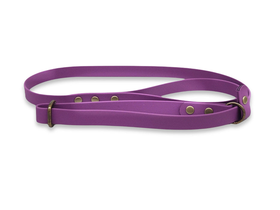 Grape Waterproof Biothane Dog Slip Lead
