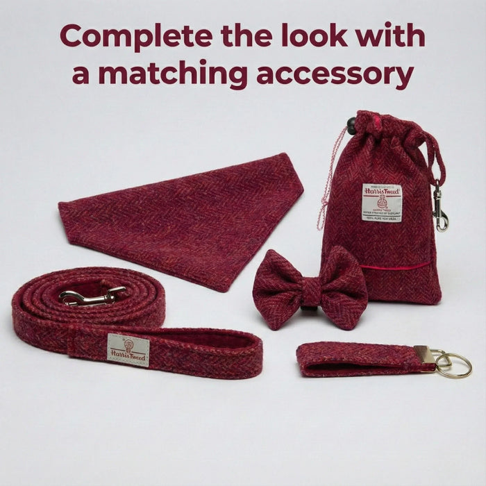 Extra Wide 38mm - Raspberry & Coral Harris Tweed Dog Collar