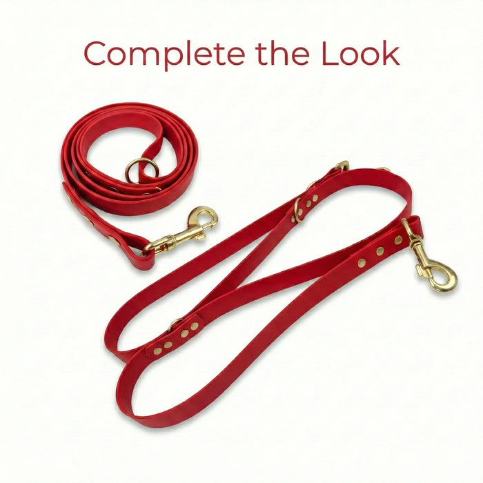 Red Waterproof Biothane Buckle Dog Collar