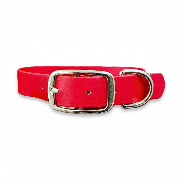 Red Waterproof Biothane Buckle Dog Collar