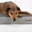 Scruffs® Beds Scruffs® ArmourDillo Orthopadic Dog Bed Grey