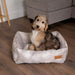 Scruffs® beds Scruffs Botanical Box Bed - Dog Bed