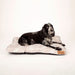 Scruffs® beds Scruffs Botanical Dog Mattress