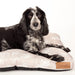 Scruffs® beds Scruffs Botanical Dog Mattress