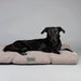 Scruffs® beds Scruffs Seattle Dog Mattress