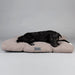 Scruffs® beds Scruffs Seattle Dog Mattress