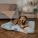 Scruffs® beds Scruffs Seattle Dog Mattress