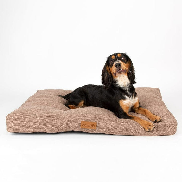 Scruffs® beds Scruffs Seattle Dog Mattress