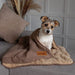 Scruffs® Blanket Scruffs® Snuggle Blanket - Pet Blanket