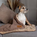 Scruffs® Blanket Scruffs® Snuggle Blanket - Pet Blanket