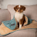 Scruffs® Blanket Scruffs® Snuggle Blanket - Pet Blanket