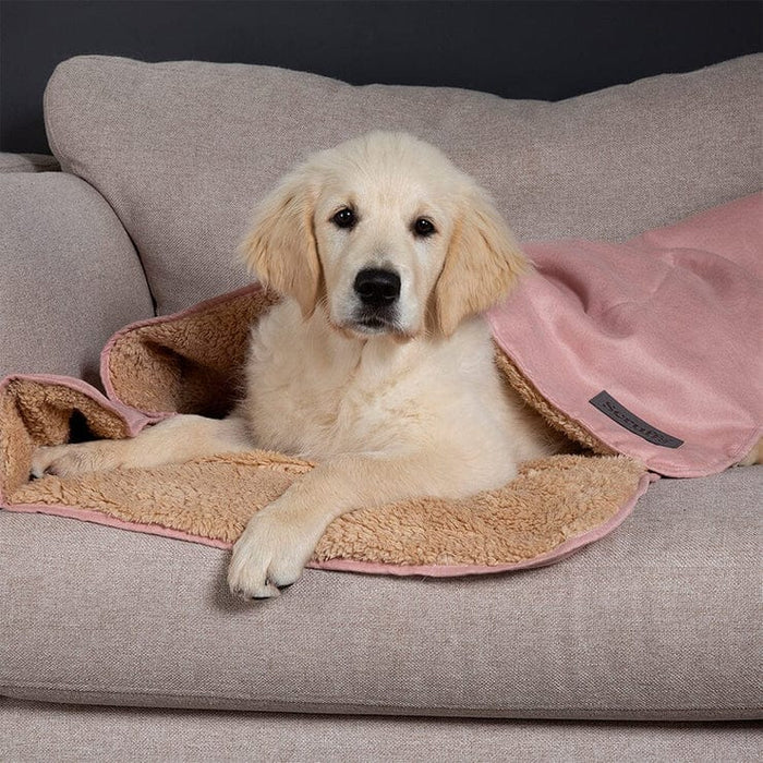 Scruffs® Blanket Scruffs® Snuggle Blanket - Pet Blanket