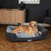 Scruffs® Dog Beds Scruffs Harvard Memory Foam Orthopaedic Box Bed