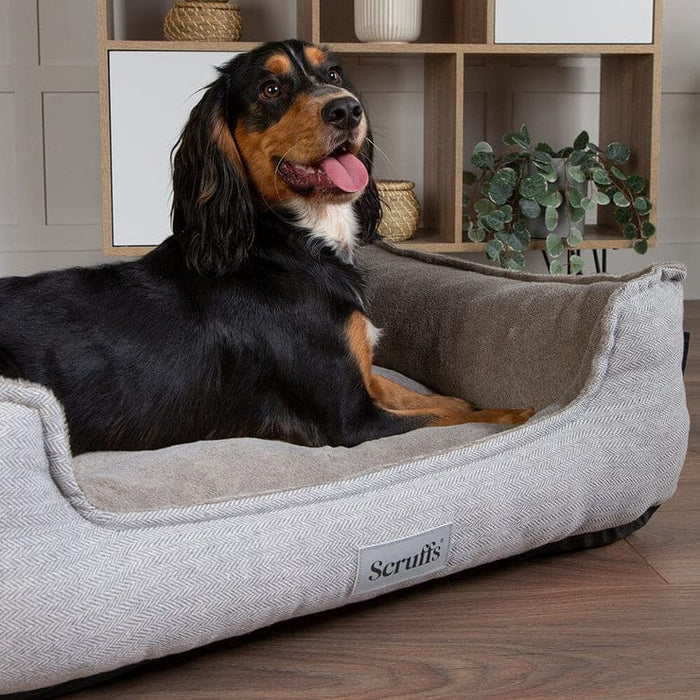 Scruffs® Dog Beds Scruffs Harvard Memory Foam Orthopaedic Box Bed