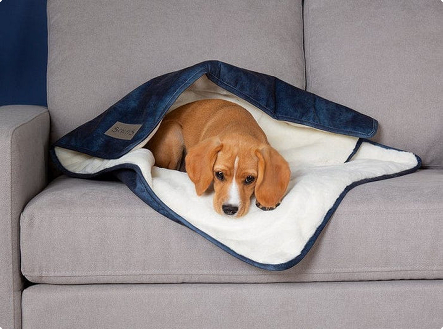 Collared Creatures Luxury Faux-Fur Brown Dog Blanket Sofa