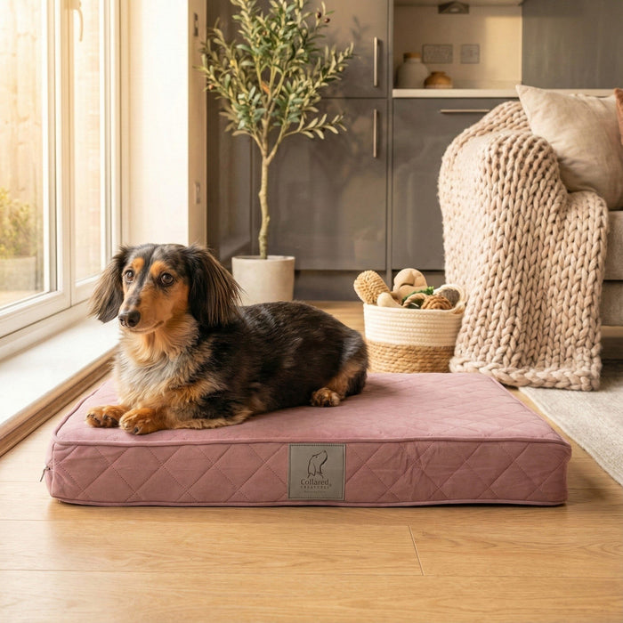 Collared Creatures Pink Velour Luxury Mattress Dog Bed