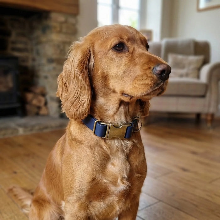Navy Waterproof Biothane Metal Clasp Dog Collar