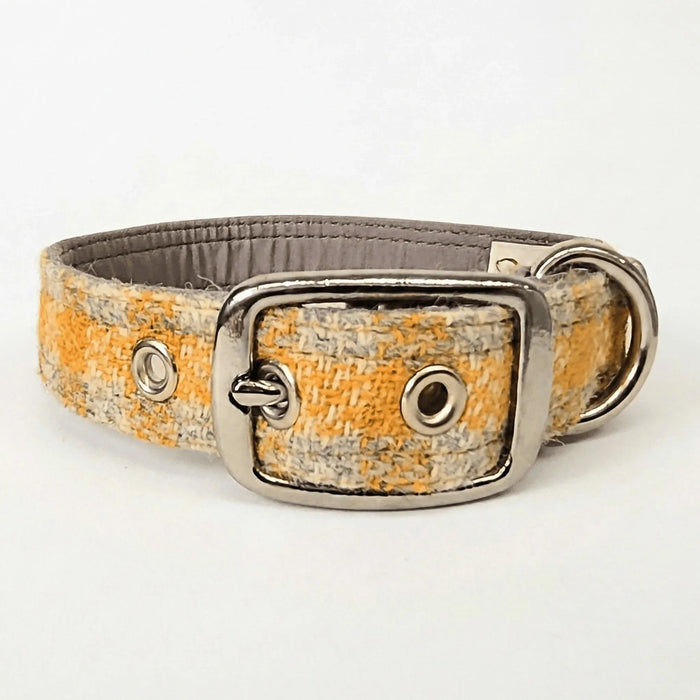 Sunflower Check - Buckle Fastening Luxury Harris Tweed Dog Collar