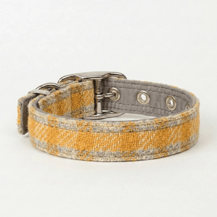 Sunflower Check - Buckle Fastening Luxury Harris Tweed Dog Collar