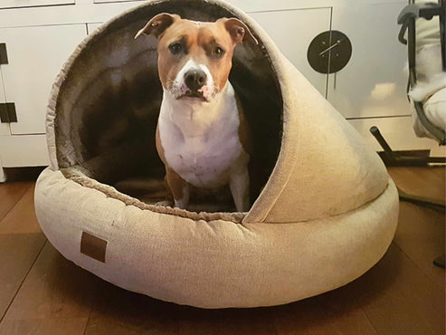 Collared Creatures - The Beige Deluxe Cocoon Dog Cave Bed
