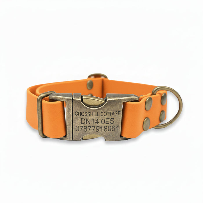 Tangerine Waterproof Biothane Metal Clasp Dog Collar