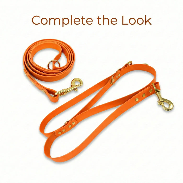 Tangerine Waterproof Biothane Buckle Dog Collar