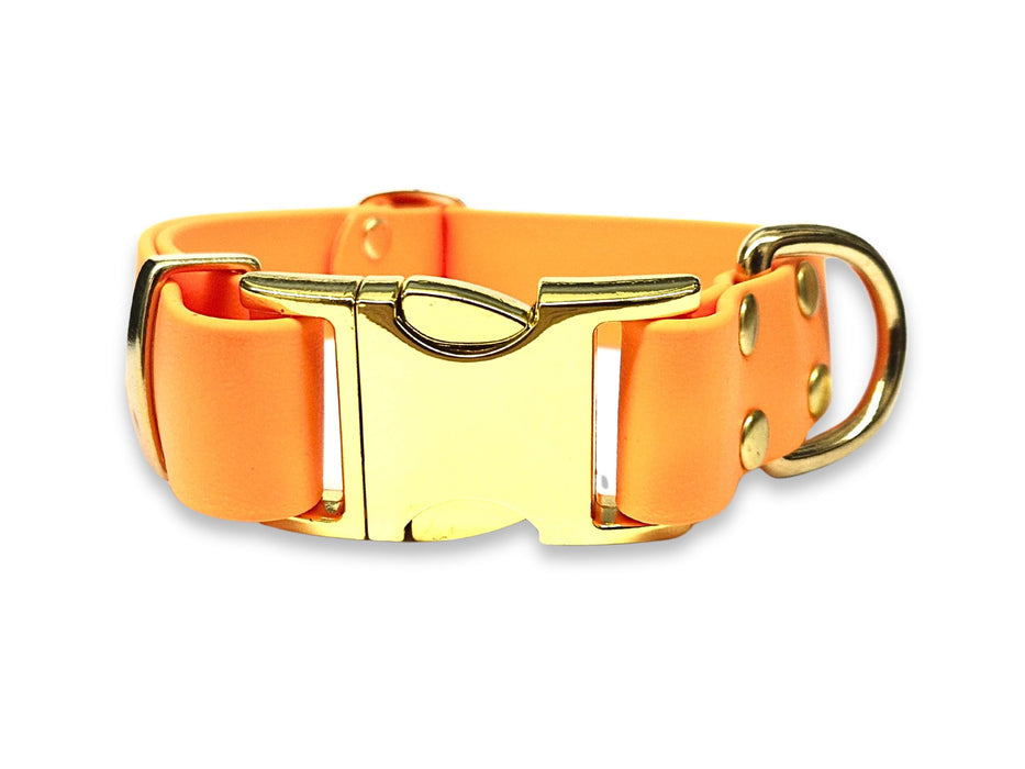 Tangerine Waterproof Biothane Metal Clasp Dog Collar