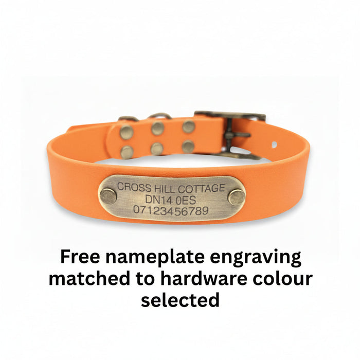 Tangerine Waterproof Biothane Buckle Dog Collar
