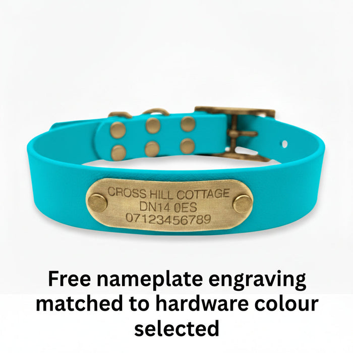 Teal Waterproof Biothane Buckle Dog Collar