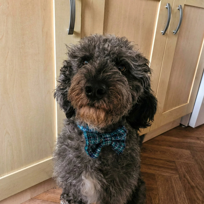 Extra Wide 38mm - Teal, Lilac & Black Harris Tweed Dog Collar