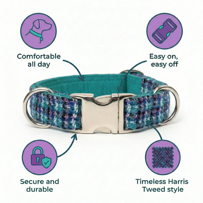 Teal Lilac & Black Check Luxury Harris Tweed Dog Collar