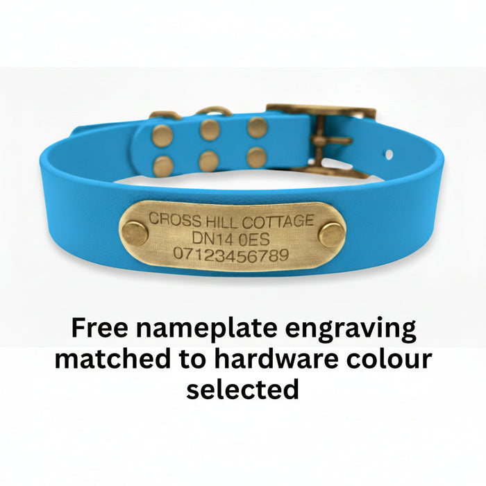 Turquoise Waterproof Biothane Buckle Dog Collar
