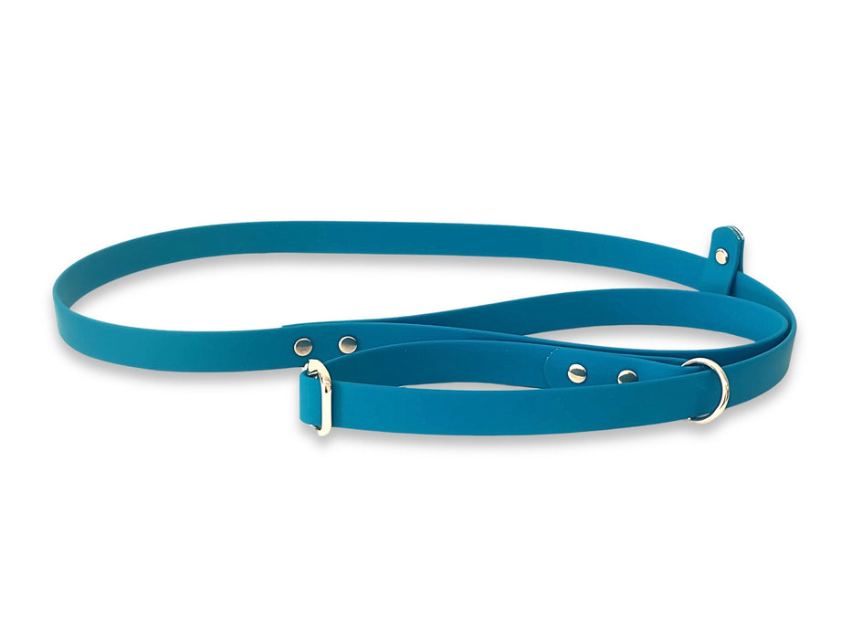 Turquoise Waterproof Biothane Dog Slip Lead