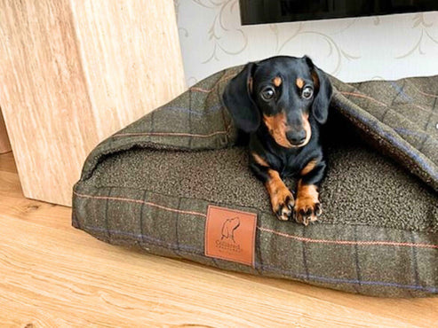 Collared Creatures - Green Tweed Luxury Dog Snuggle Bed / Snuggle Sack /Sleeping Sack Luxury Dog Bed