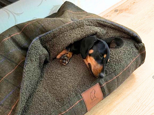 Collared Creatures - Green Tweed Luxury Dog Snuggle Bed / Snuggle Sack /Sleeping Sack Luxury Dog Bed